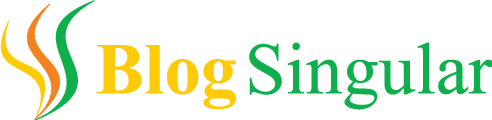 Blog Singular